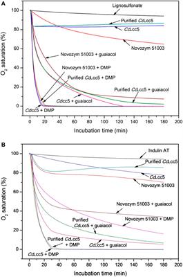 Enzymatic Oxidation of Ca-Lignosulfonate and Kraft Lignin in Different Lignin-Laccase-Mediator-Systems and MDF Production